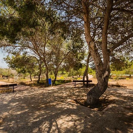 Apartament "Parque Mar" La Mata  Dış mekan fotoğraf