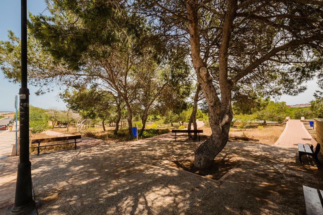 Apartament "Parque Mar" La Mata  Dış mekan fotoğraf