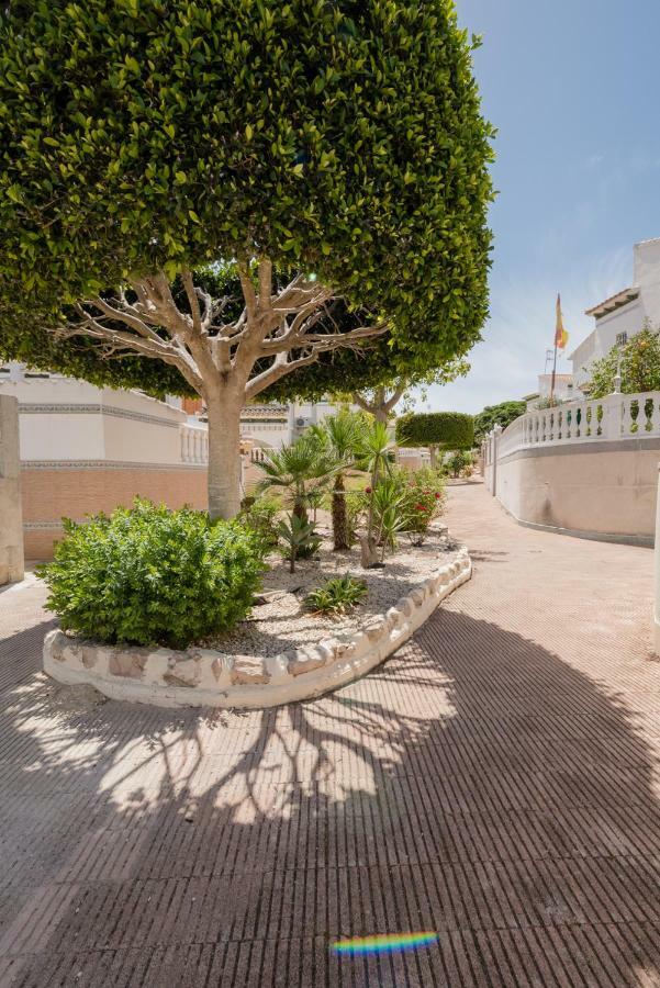 Apartament "Parque Mar" La Mata  Dış mekan fotoğraf